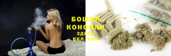 ПСИЛОЦИБИНОВЫЕ ГРИБЫ Инсар