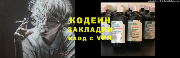 ПСИЛОЦИБИНОВЫЕ ГРИБЫ Инсар