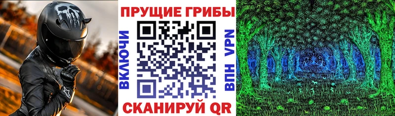 Купить  Жирновск  Псилоцибиновые грибы ЛСД 